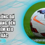 Cá cược bóng đá Moto88