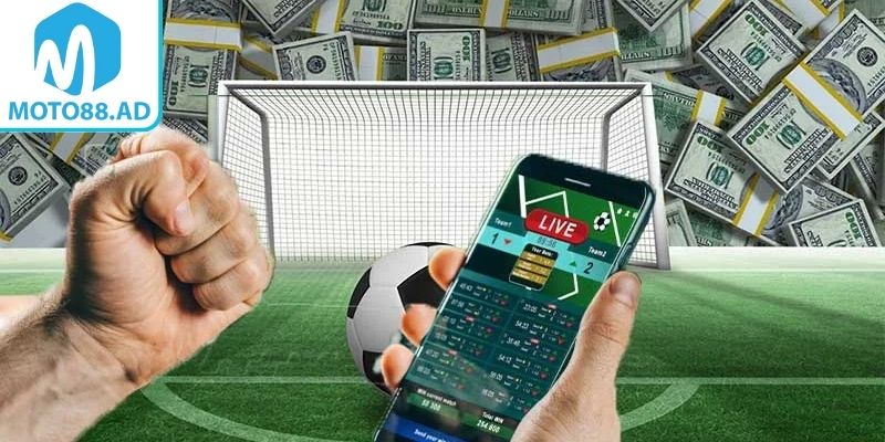 Hướng dẫn cá cược bóng đá Moto88 cho người mới