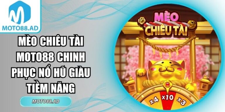 mèo chiêu tài MOTO88